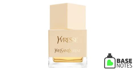 Yvresse / Champagne by Yves Saint Laurent– Basenotes